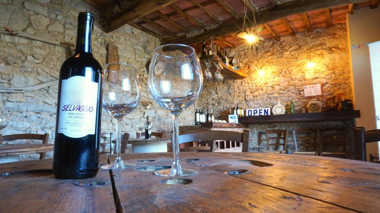 Agriturismo Le Vallilunghe Daire Lucca Dış mekan fotoğraf