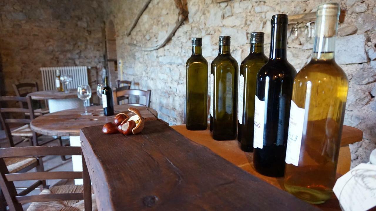 Agriturismo Le Vallilunghe Daire Lucca Dış mekan fotoğraf